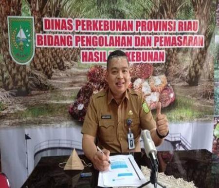 Kepala Bidang (Kabid) Pengolahan dan Pemasaran Disbun Riau Dr Defris Hatmaja. (Foto: Int)